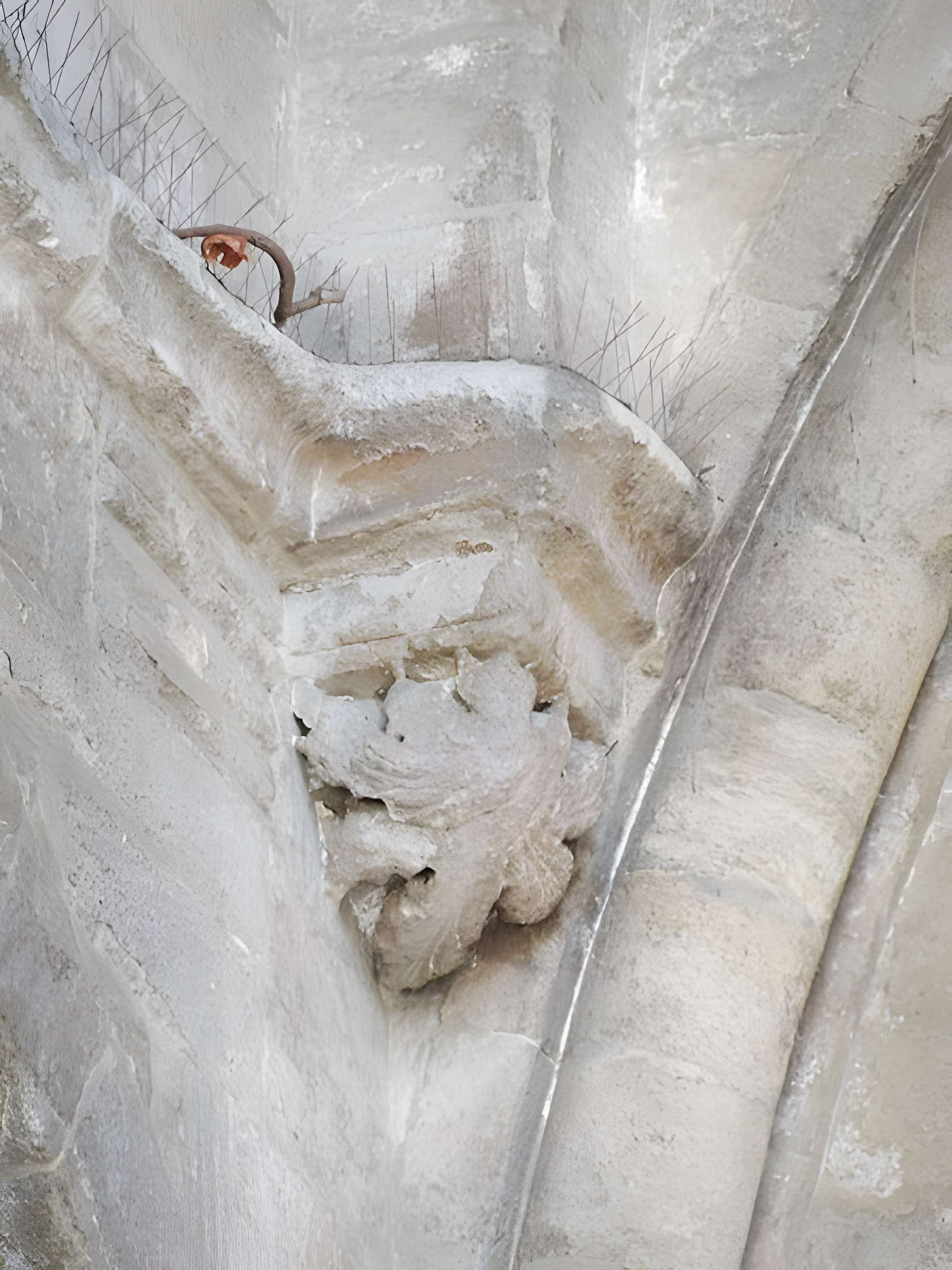 Abbaye Saint-Ruf d'Avignon 