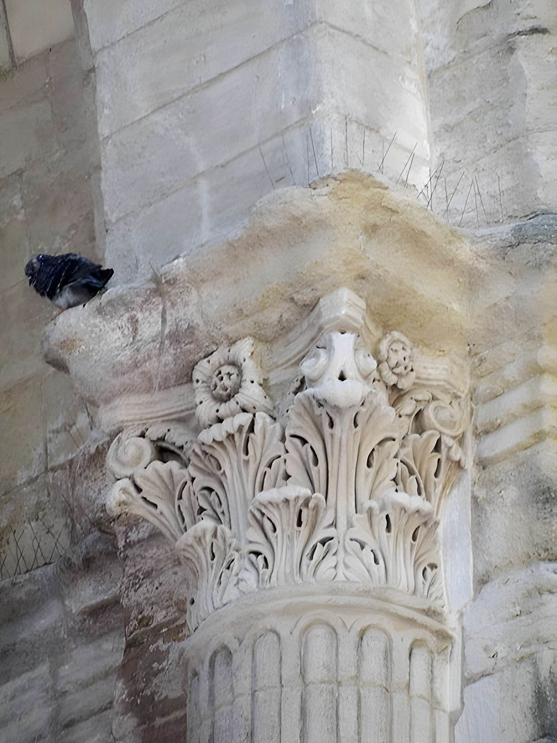 Abbaye Saint-Ruf d'Avignon 