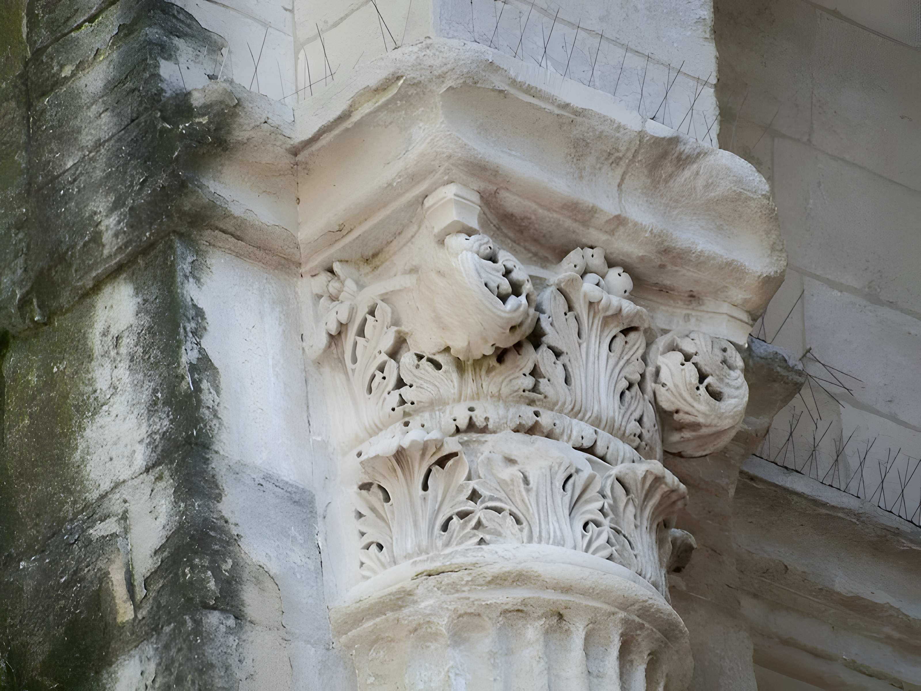 Abbaye Saint-Ruf d'Avignon 