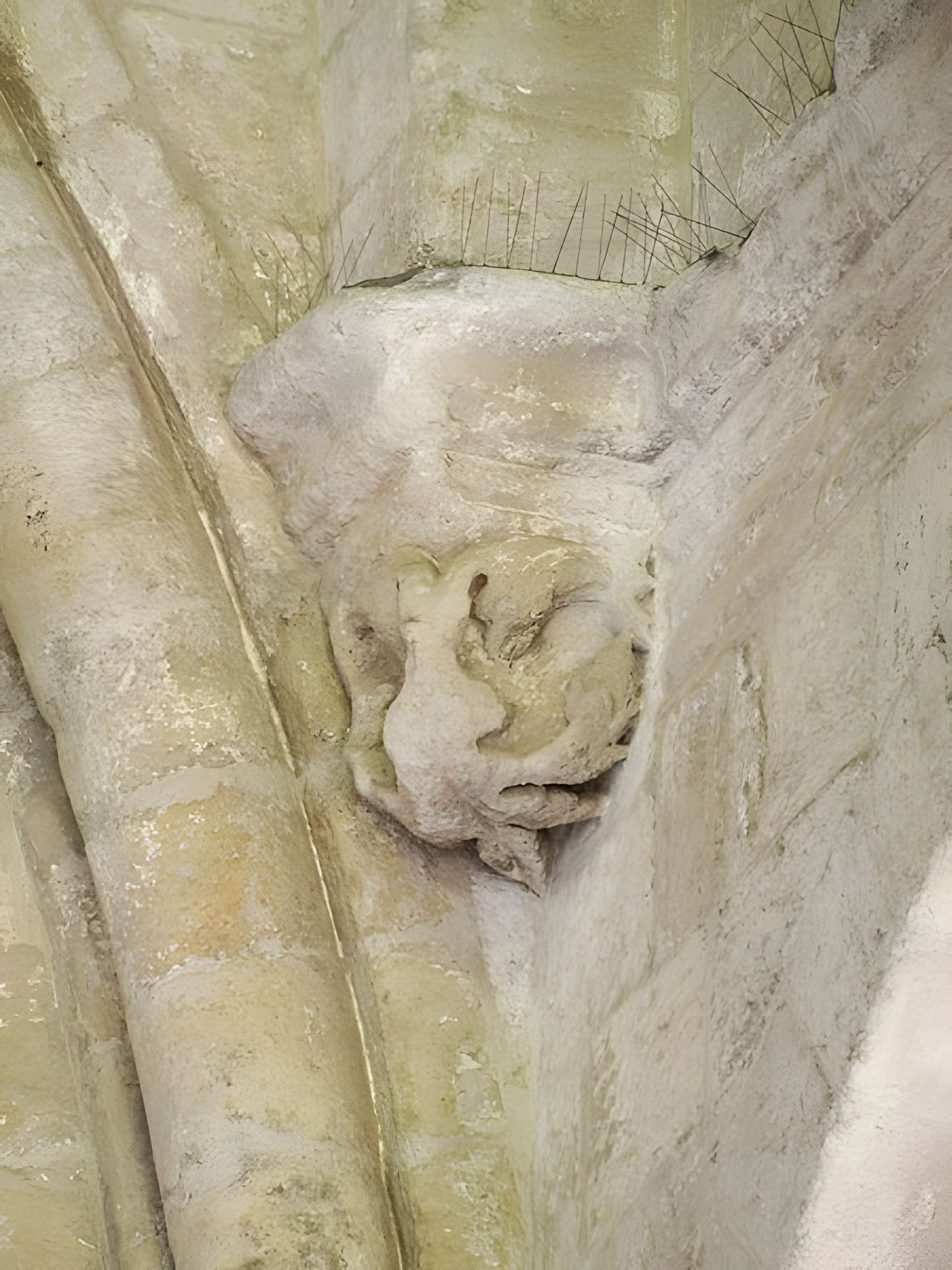 Abbaye Saint-Ruf d'Avignon 