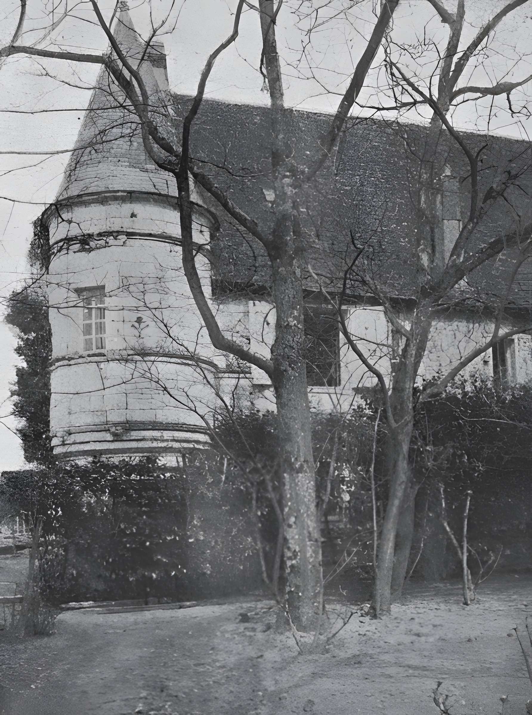 Abbaye Saint-Sauveur de Villeloin