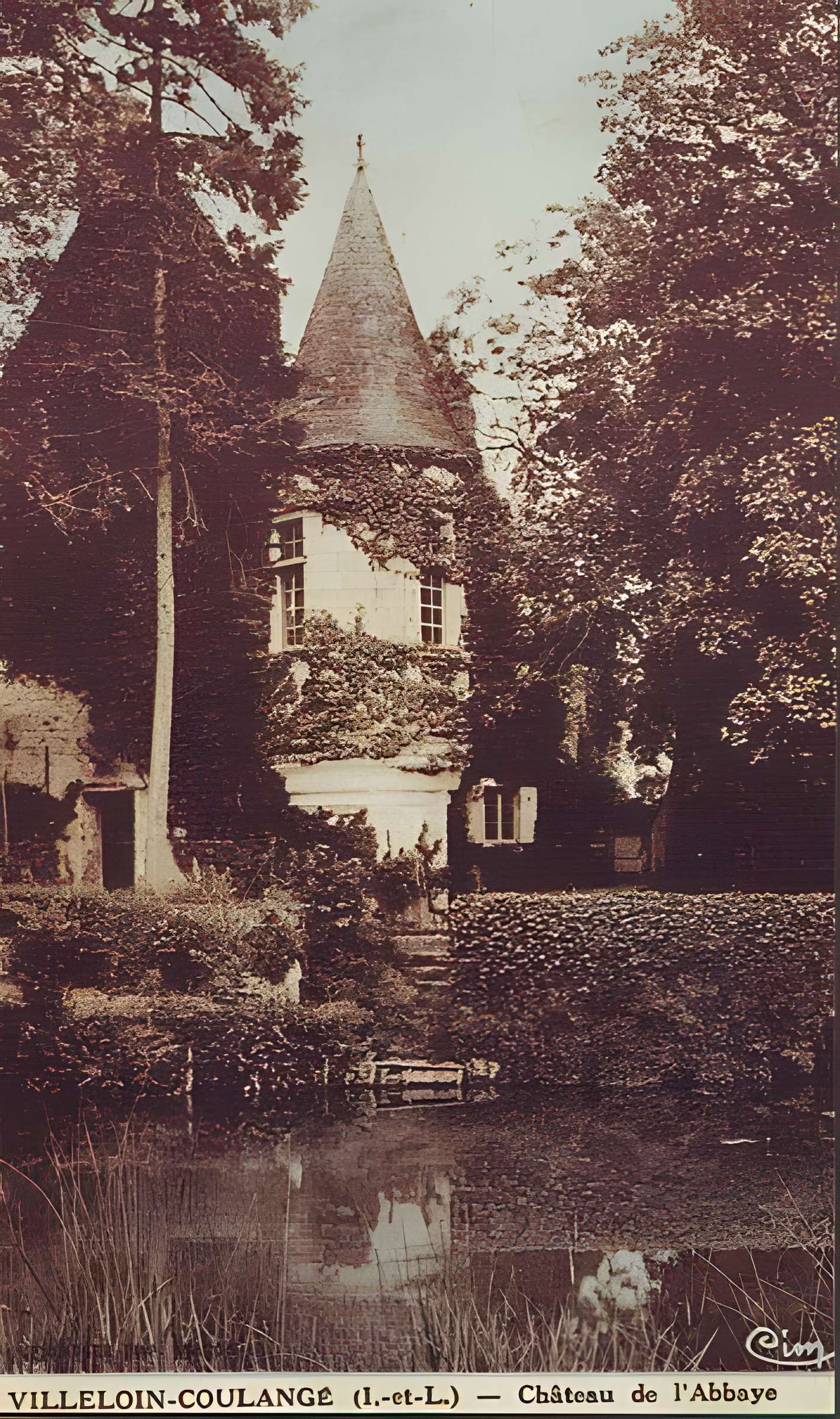 Abbaye Saint-Sauveur de Villeloin