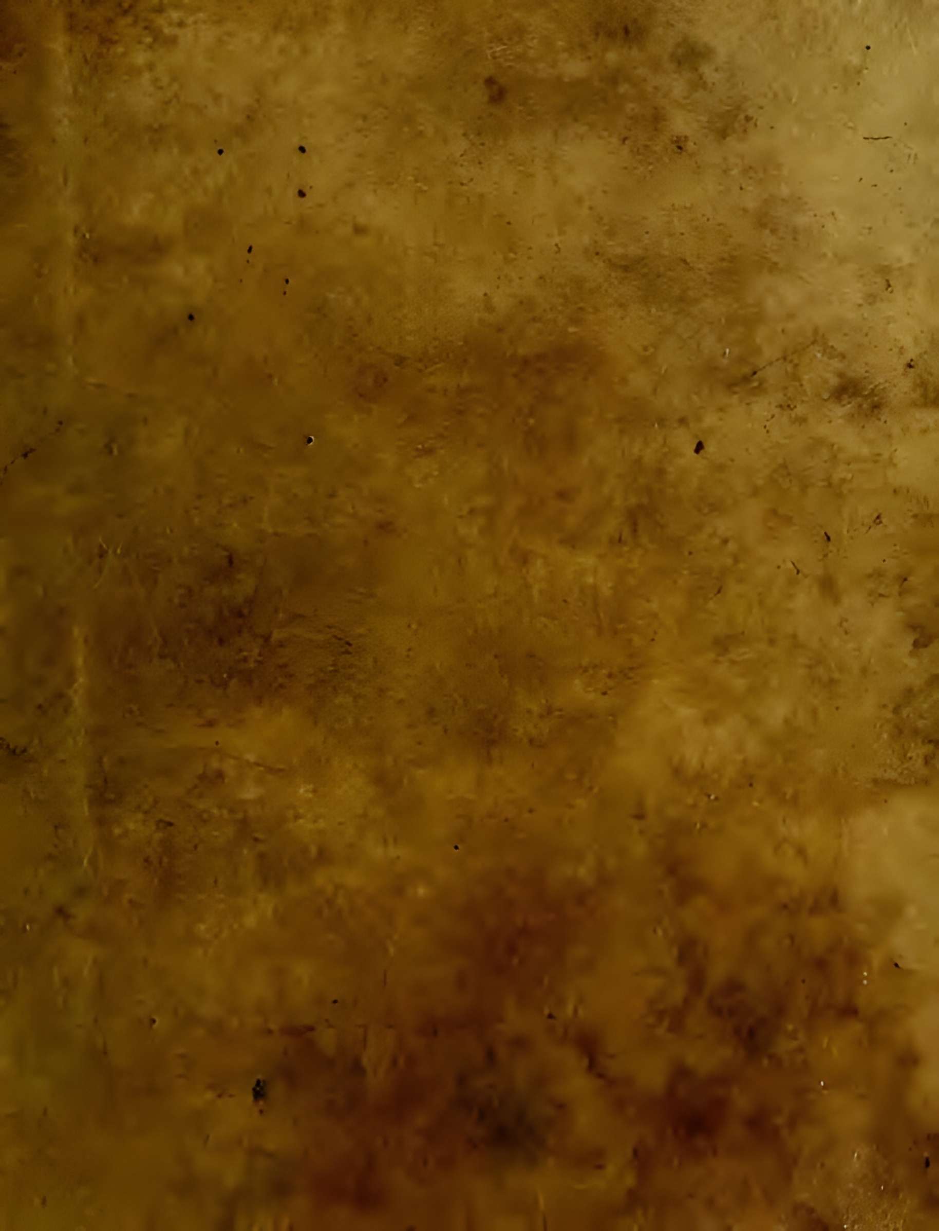 Abbaye Saint-Sauveur de Villeloin