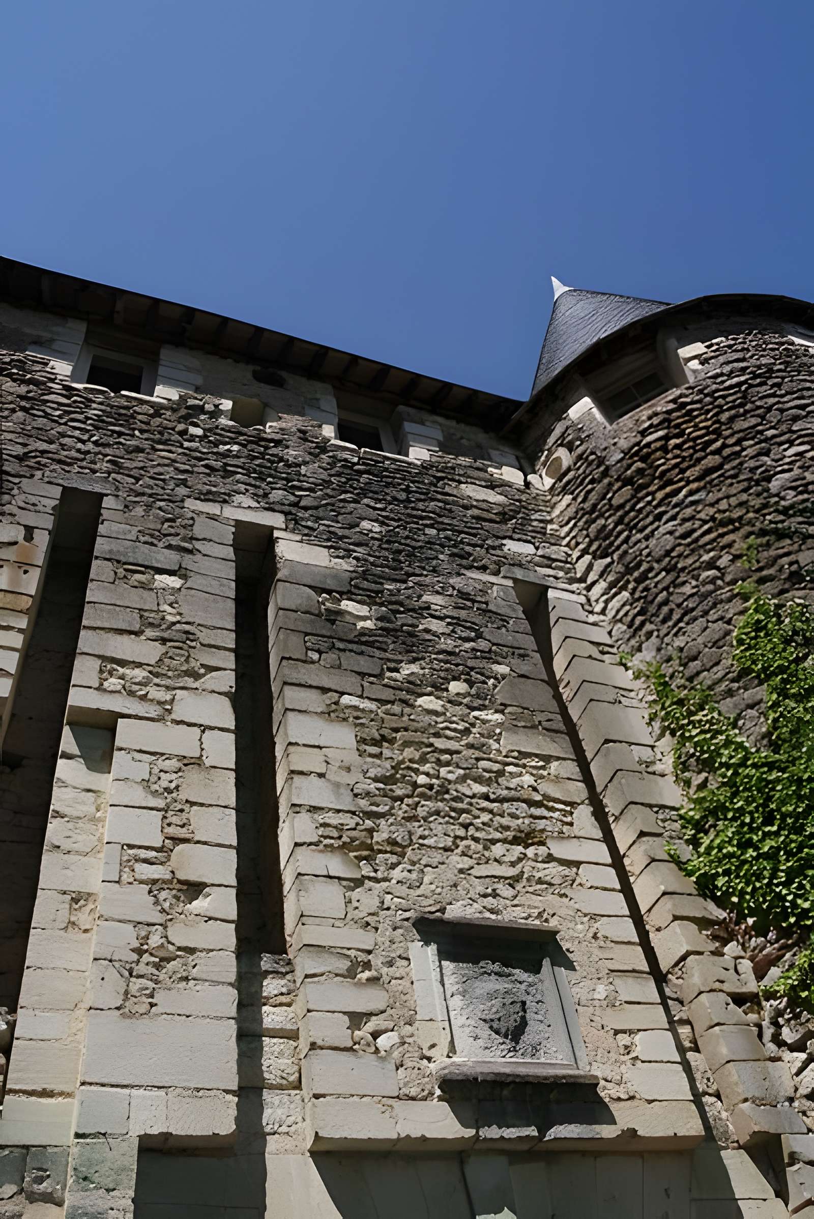 Abbaye Saint-Sauveur de Villeloin