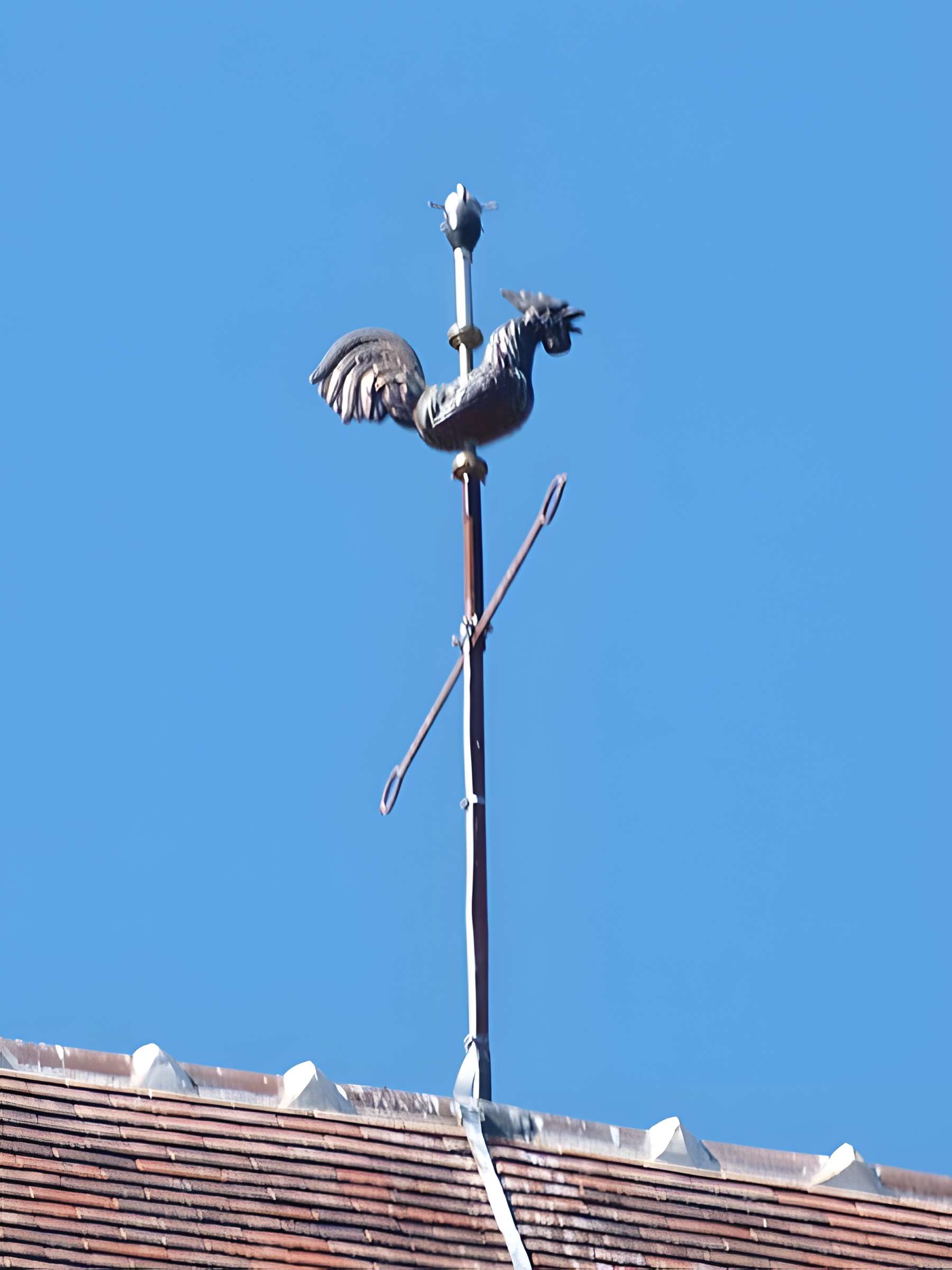 Église Saint-Louis de Servon