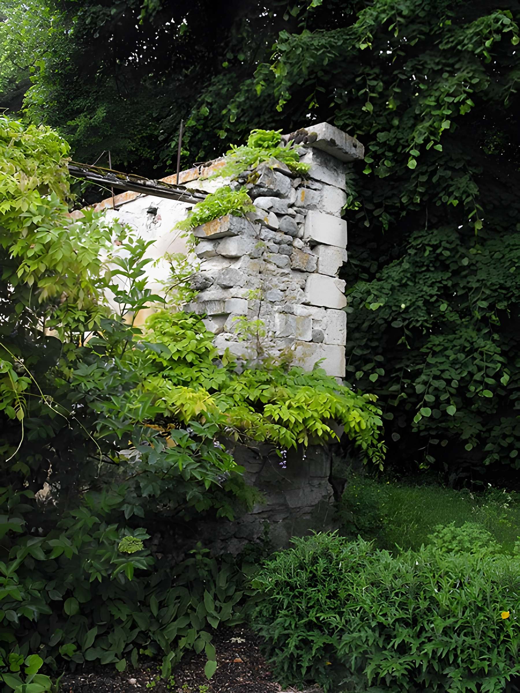 Abbaye Saint-Thierry
