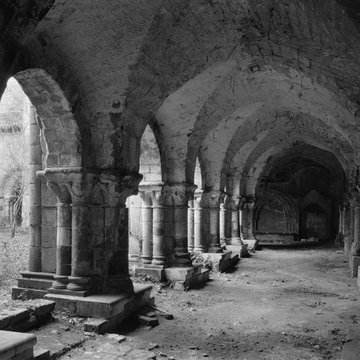 Abbaye Saint-Vincent de Nieul-sur-lAutise