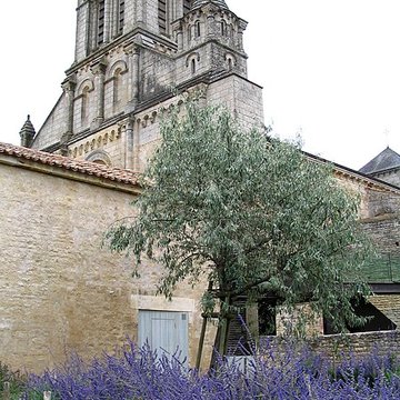 Abbaye Saint-Vincent de Nieul-sur-lAutise