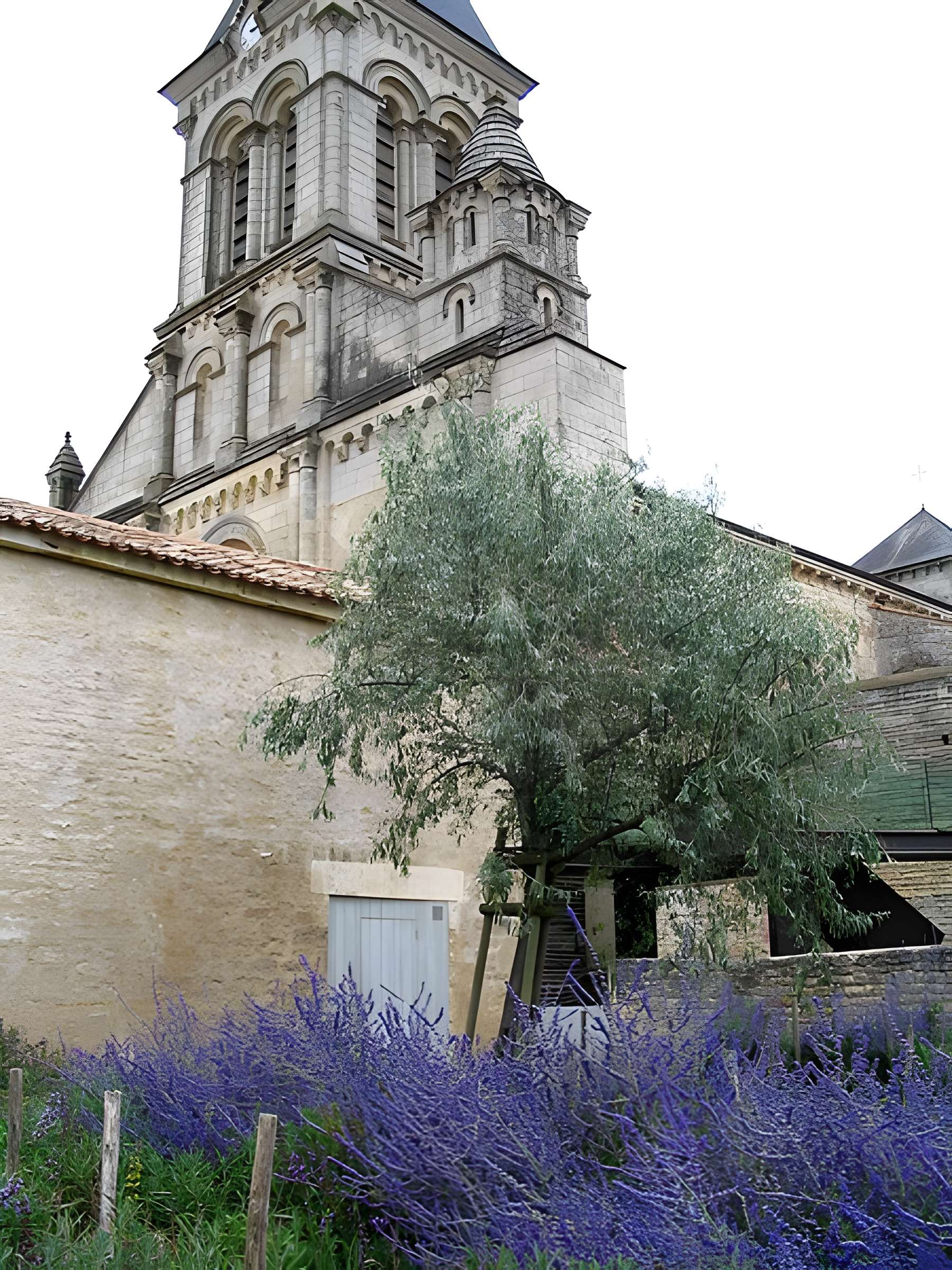 Abbaye Saint-Vincent de Nieul-sur-l'Autise