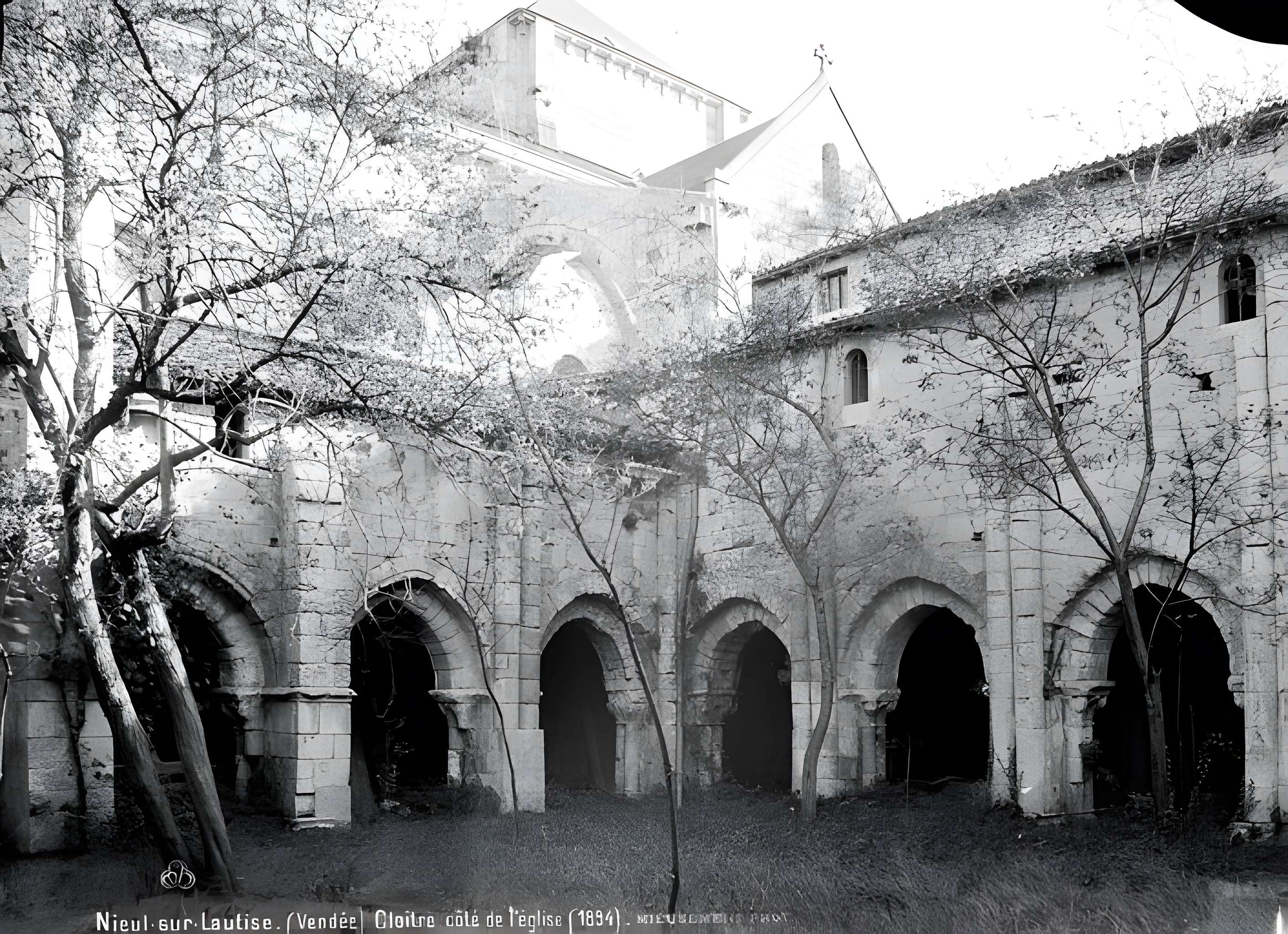 Abbaye Saint-Vincent de Nieul-sur-l'Autise