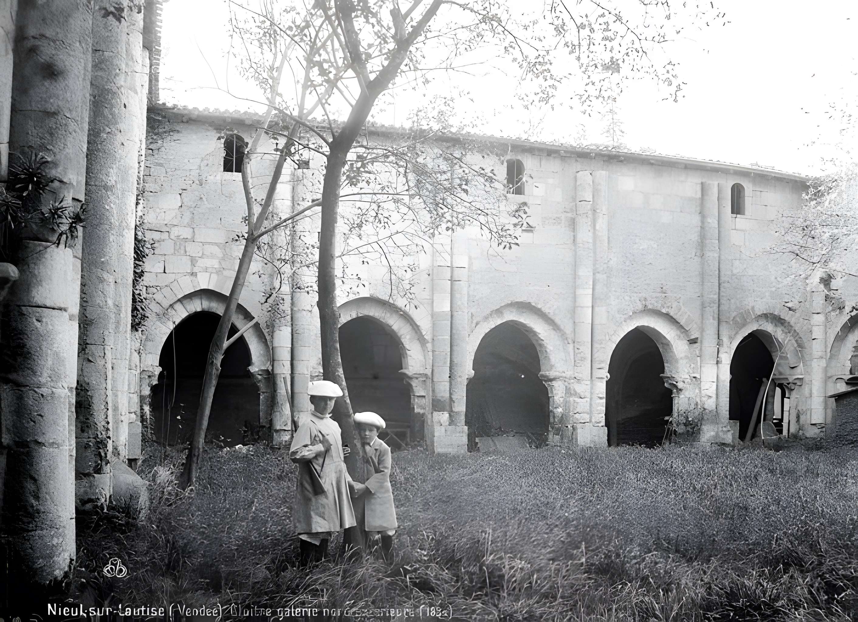 Abbaye Saint-Vincent de Nieul-sur-l'Autise