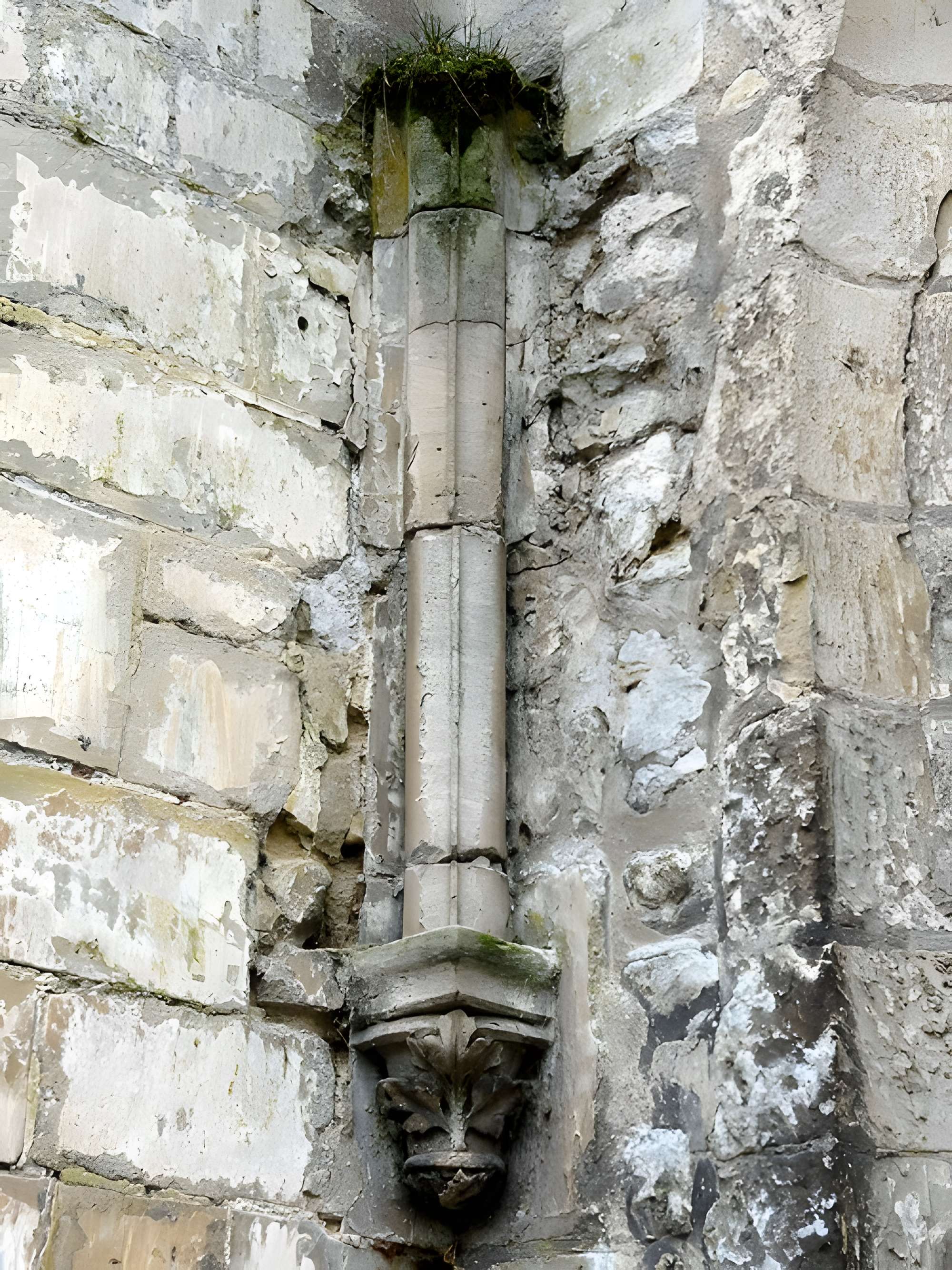 Abbaye Saint-Vincent de Senlis