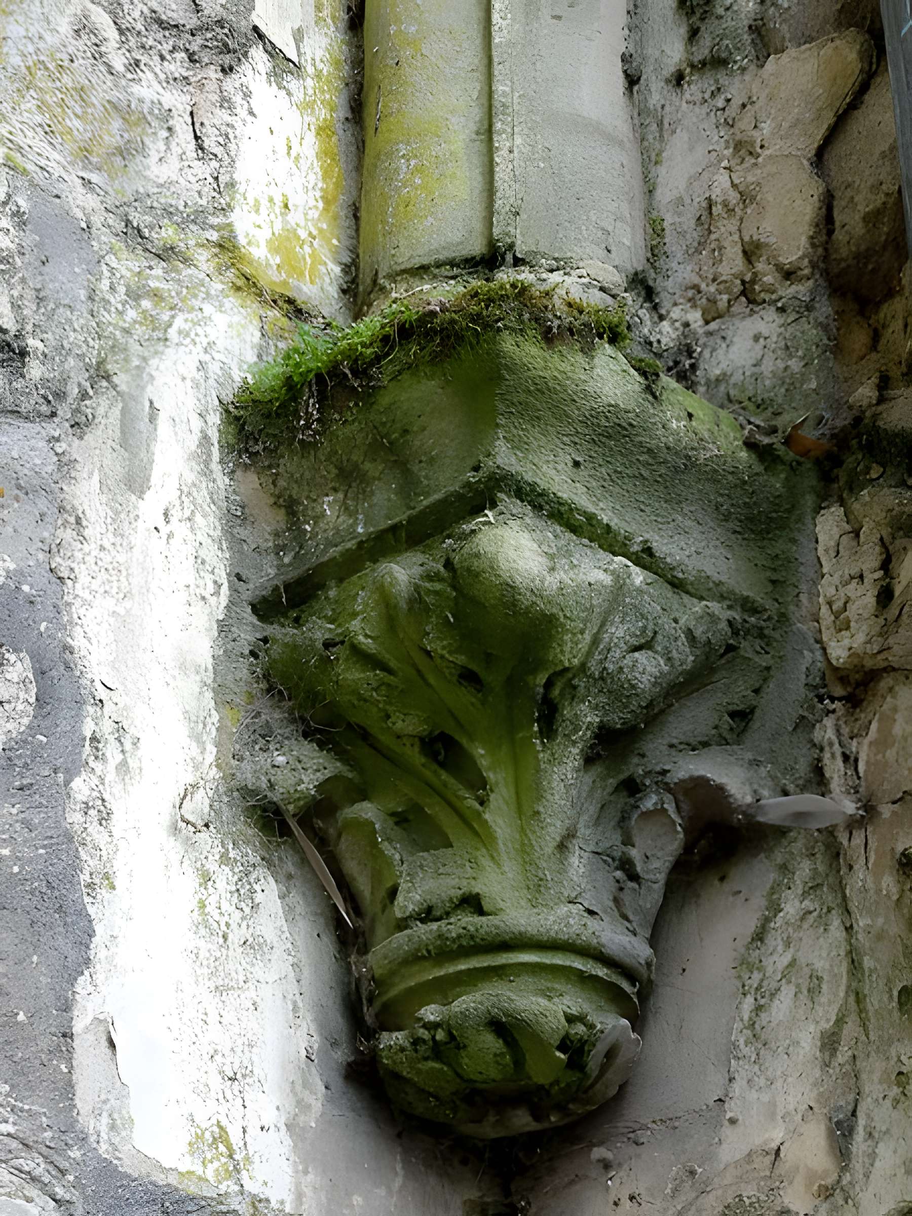 Abbaye Saint-Vincent de Senlis