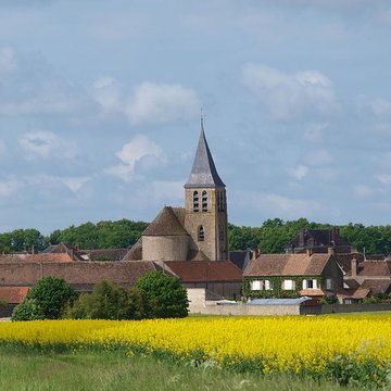 Église Saint-Loup-de-Sens de Bransles
