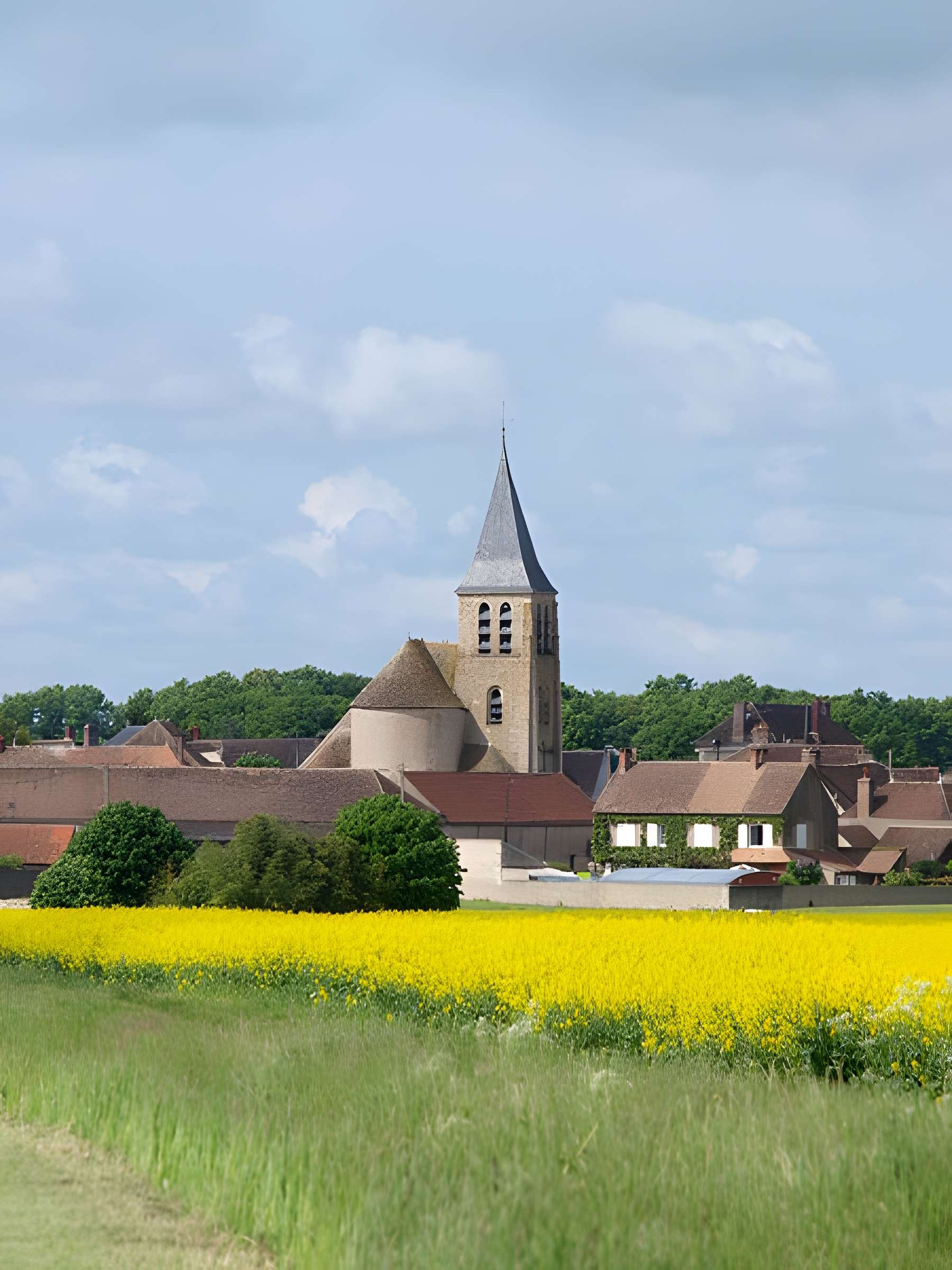 Église Saint-Loup-de-Sens de Bransles