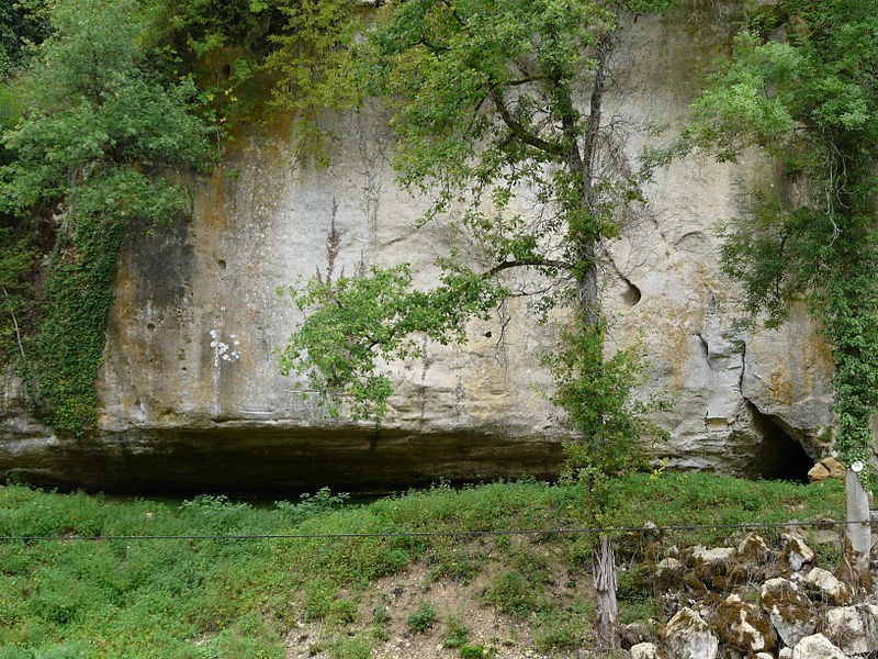 Photo de Abri Castanet à Sergeac