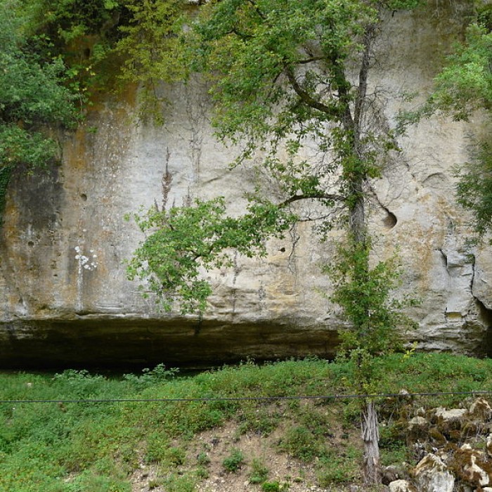 Photo de Abri Castanet à Sergeac