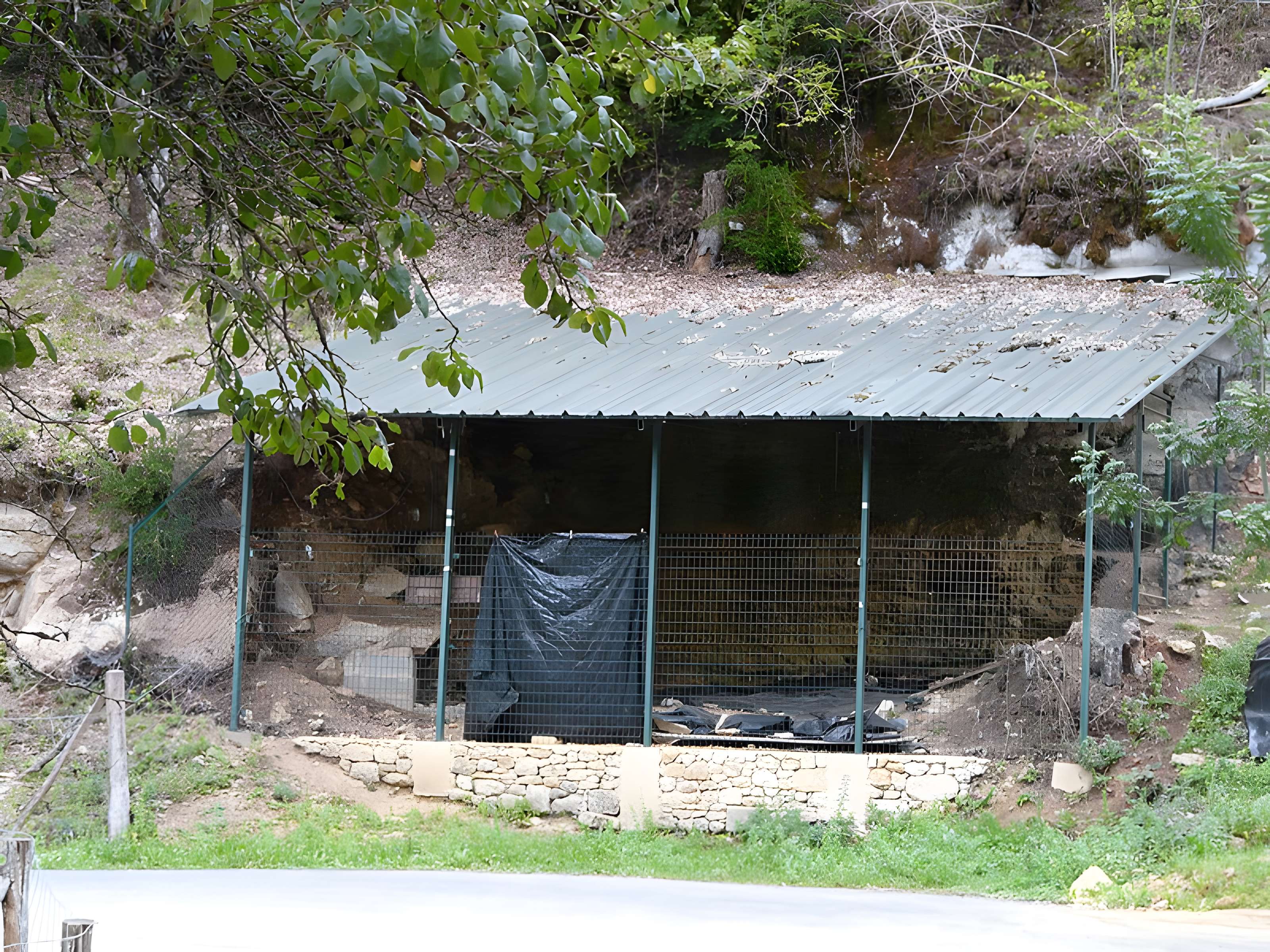 Abri Castanet à Sergeac