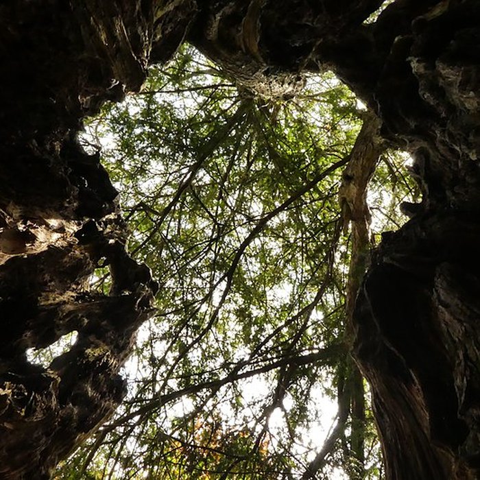 Photo de Église Saint-Malo dYvignac-la-Tour