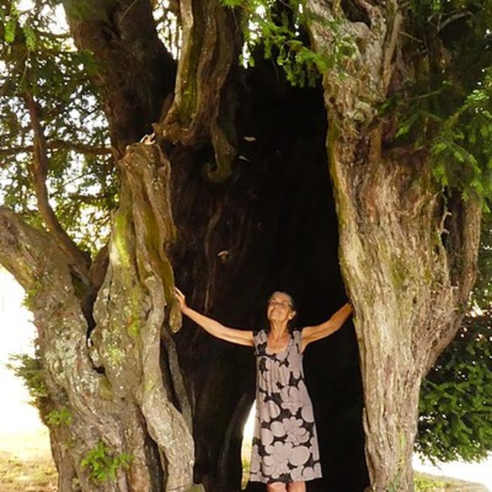 Photo de Église Saint-Malo dYvignac-la-Tour