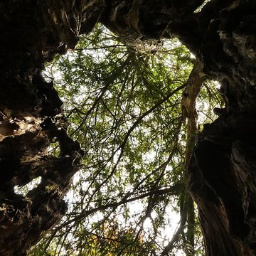 Église Saint-Malo dYvignac-la-Tour