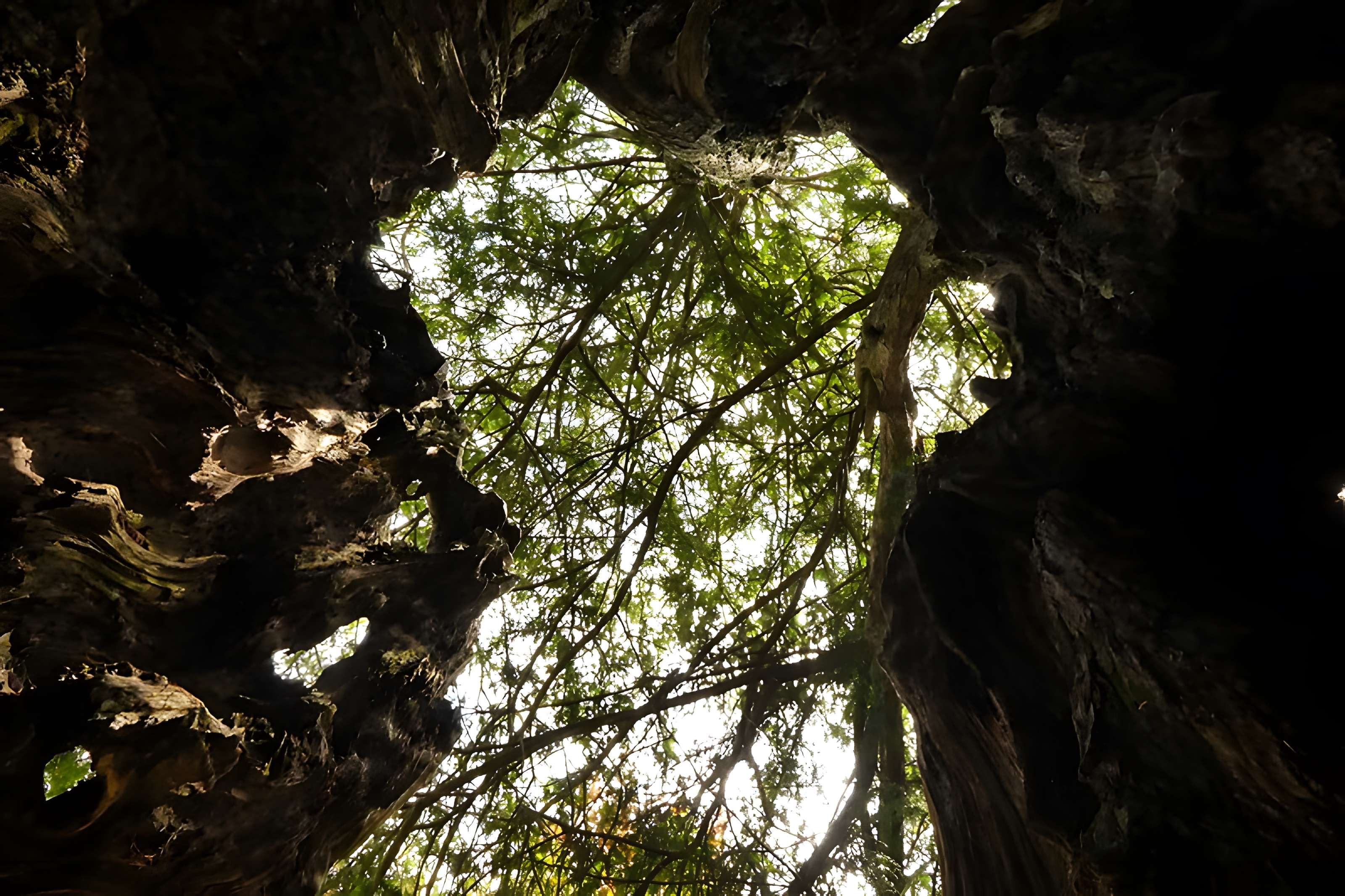 Église Saint-Malo d'Yvignac-la-Tour