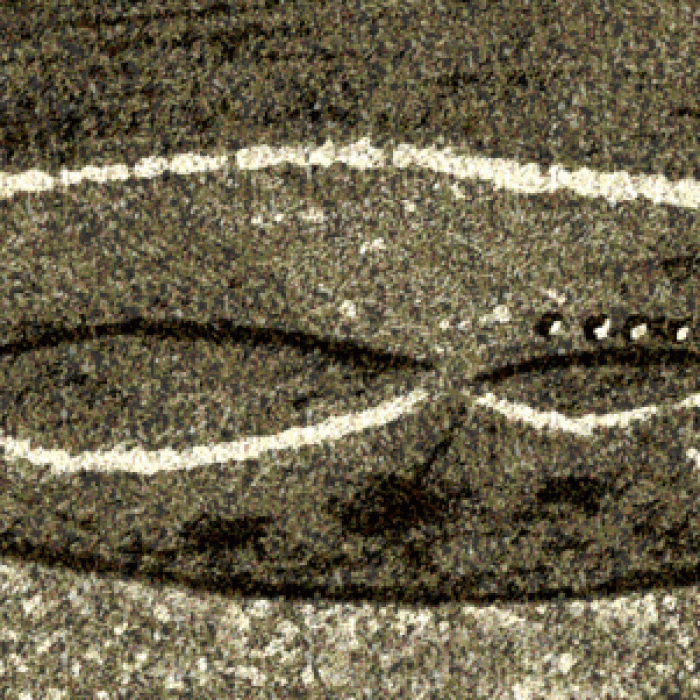 Photo de Abri à sculpture dit Abri du Poisson et abri Lartet