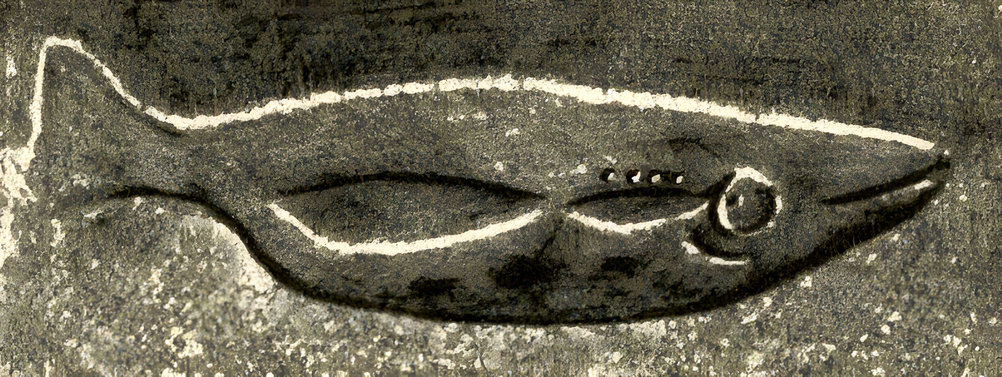 Abri du Poisson aux Eyzies-de-Tayac-Sireuil 