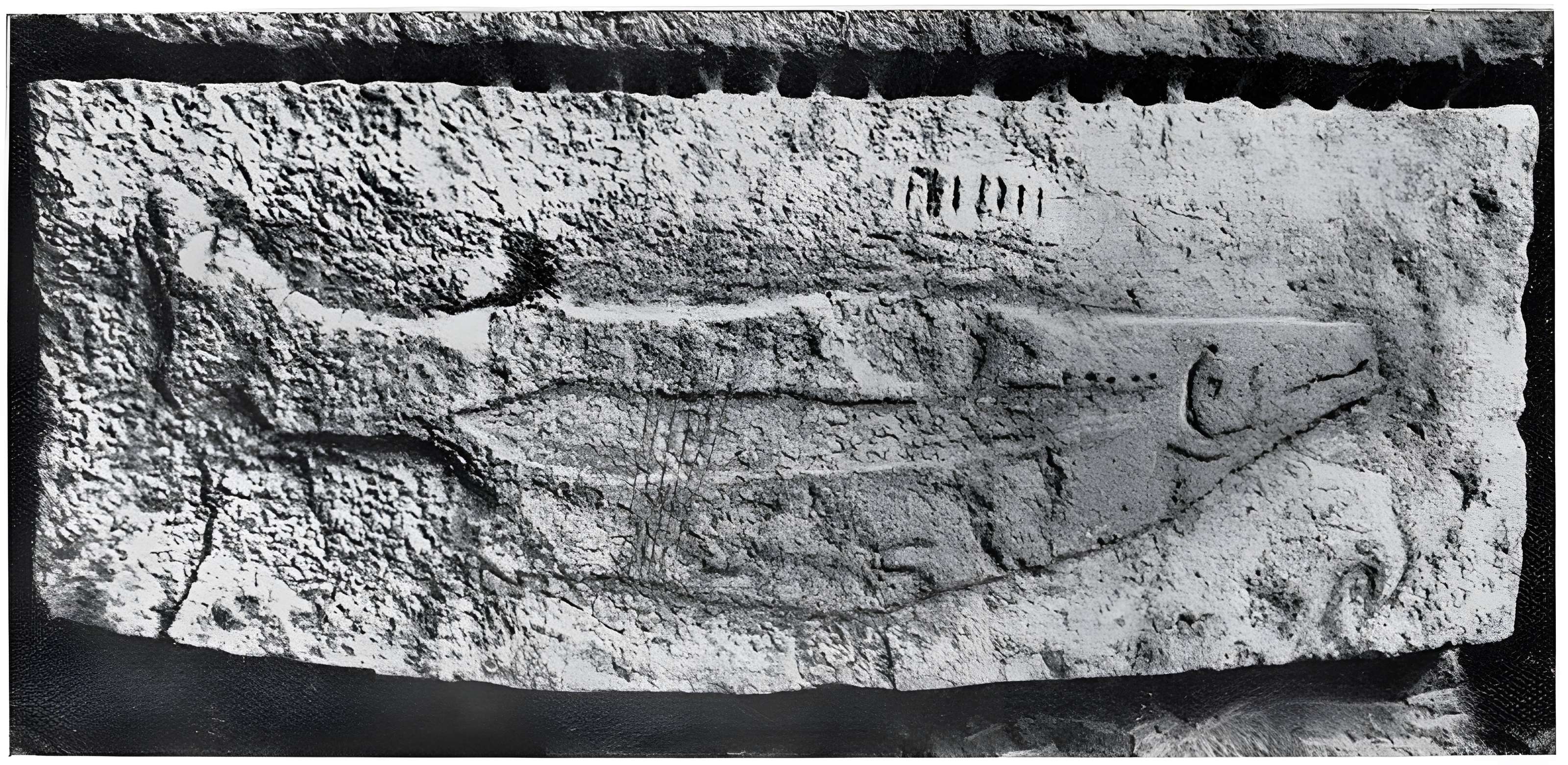 Abri à sculpture dit Abri du Poisson et abri Lartet