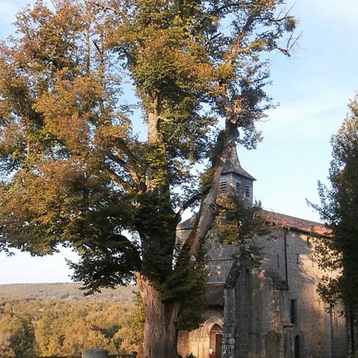Photo de Église Saint-Martial de Saint-Martial-le-Mont