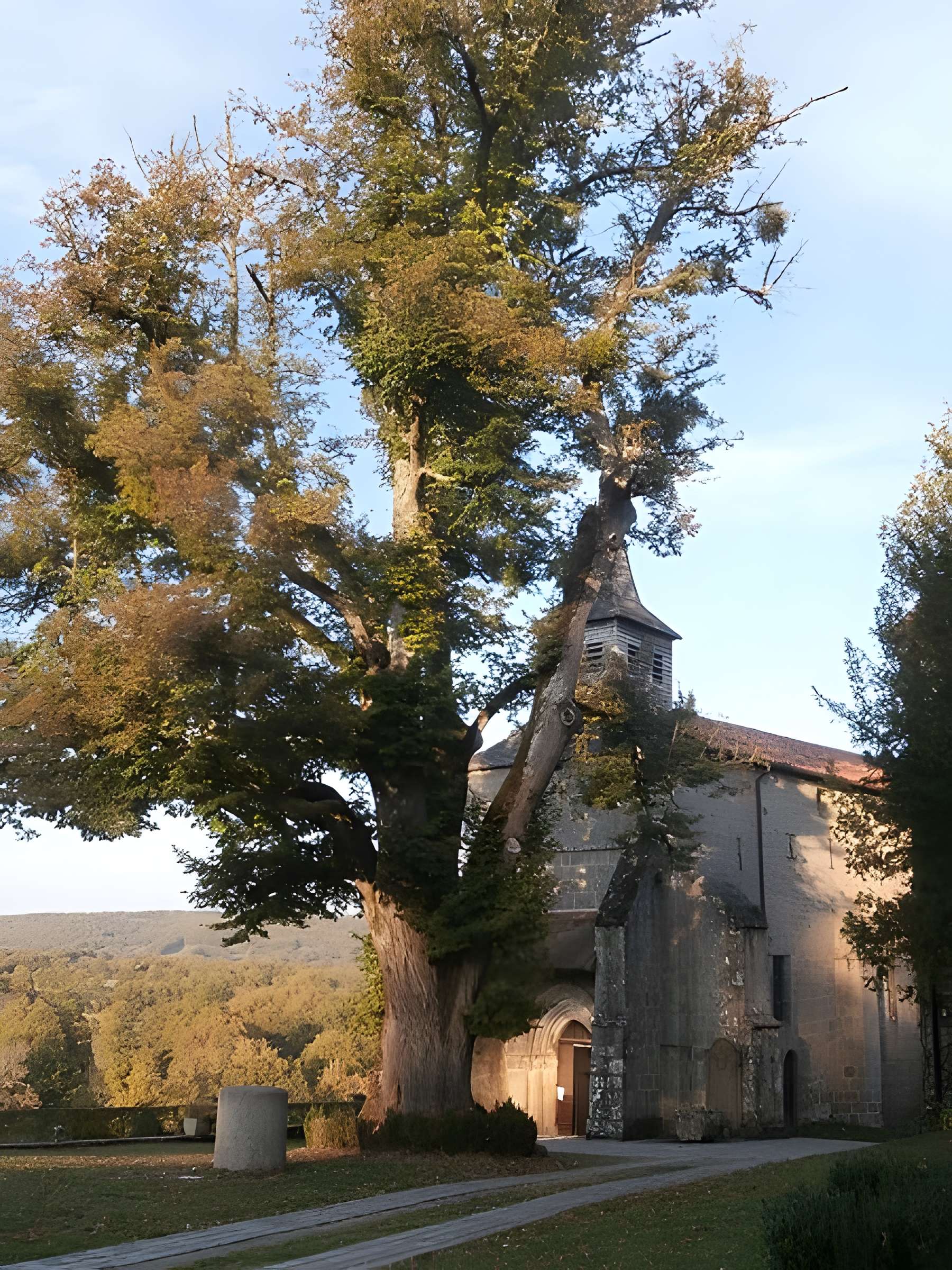 Église Saint-Martial de Saint-Martial-le-Mont
