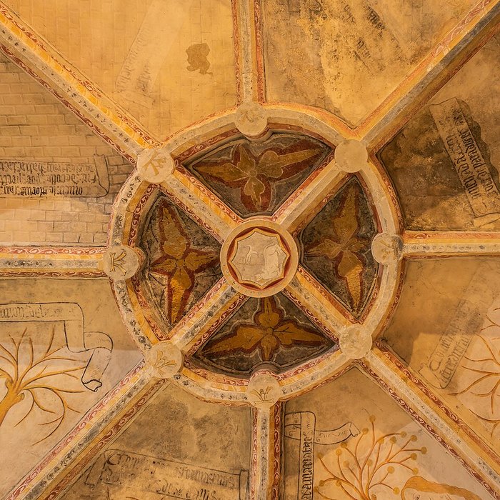 Photo de Église Saint-Martial de Tauriac