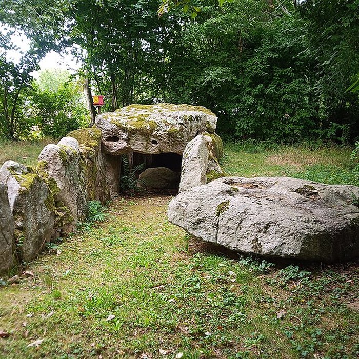 Photo de Allée couverte de la Hamelinière à Chantrigné