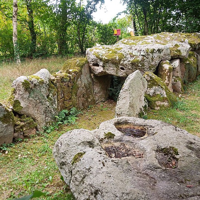Photo de Allée couverte de la Hamelinière à Chantrigné