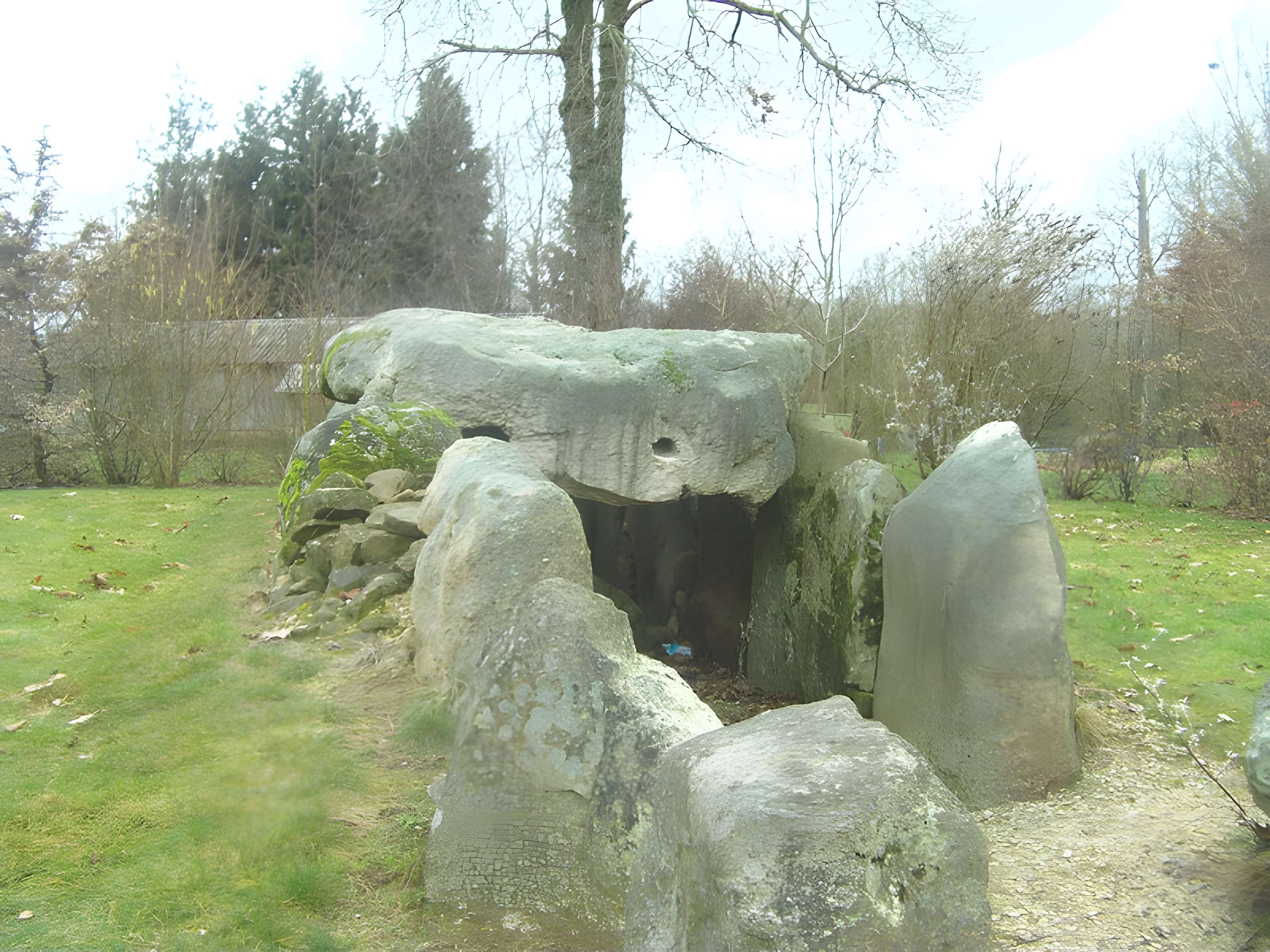 Allée couverte de la Hamelinière à Chantrigné 