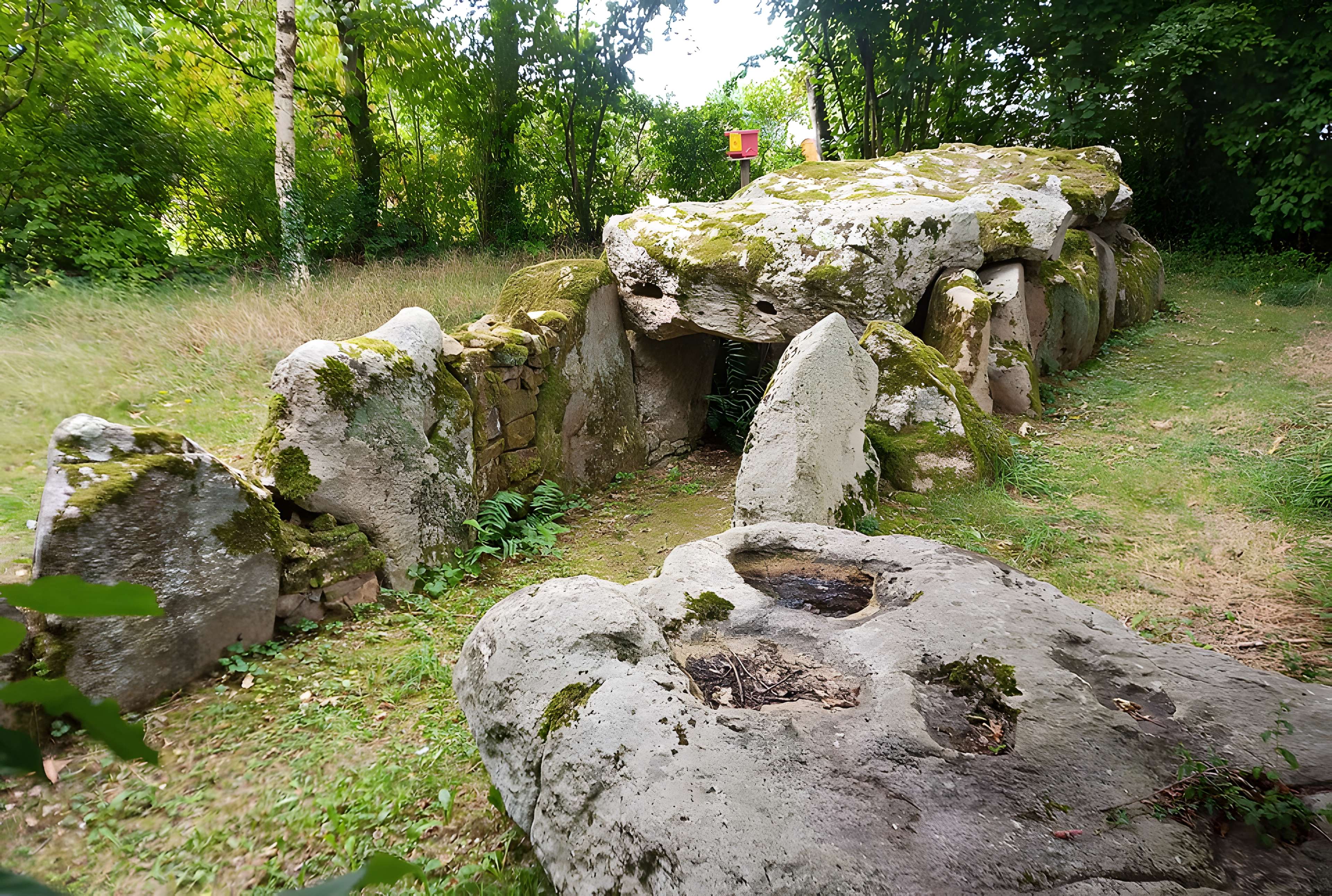Allée couverte de la Hamelinière à Chantrigné