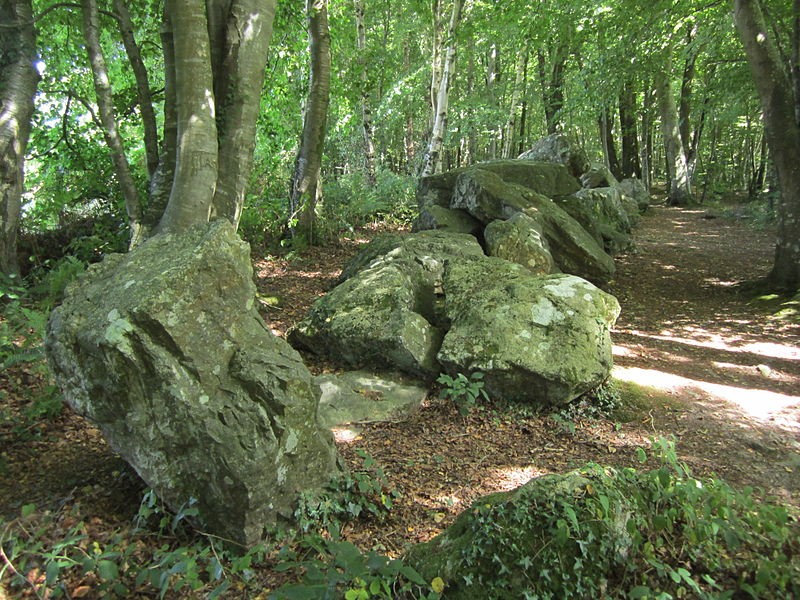 Photo de Allée couverte de la Petite Roche à Rocheville
