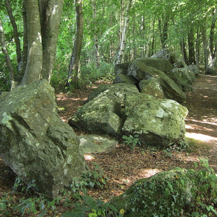 Photo de Allée couverte de la Petite Roche à Rocheville