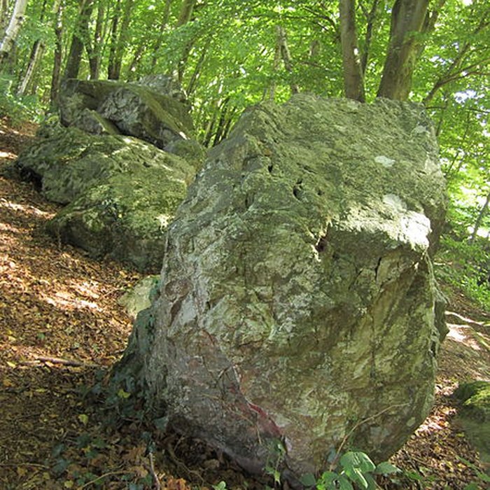 Photo de Allée couverte de la Petite Roche à Rocheville