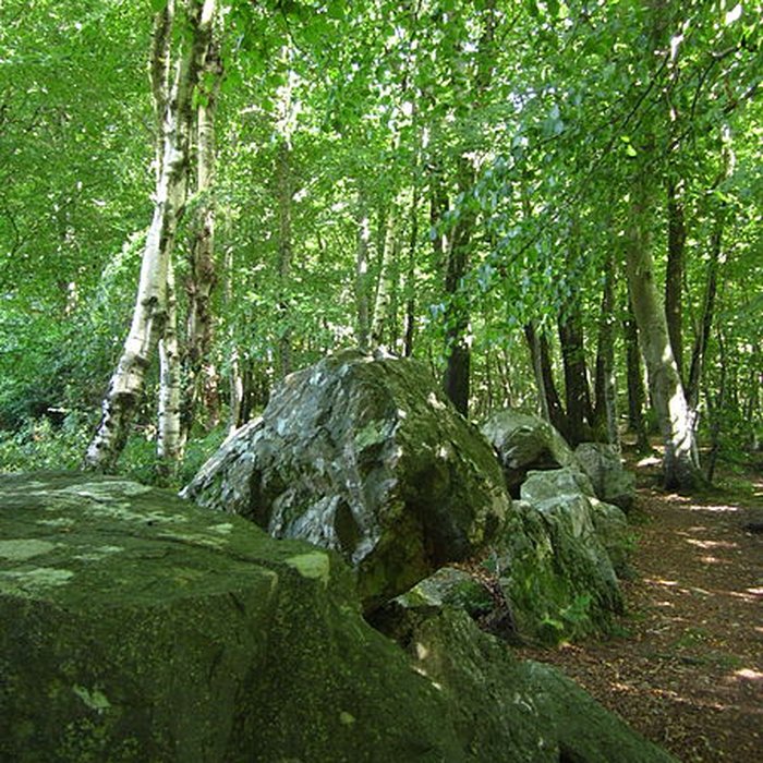 Photo de Allée couverte de la Petite Roche à Rocheville