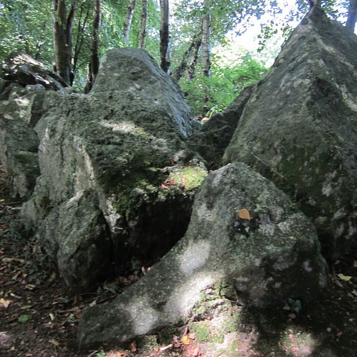 Photo de Allée couverte de la Petite Roche à Rocheville