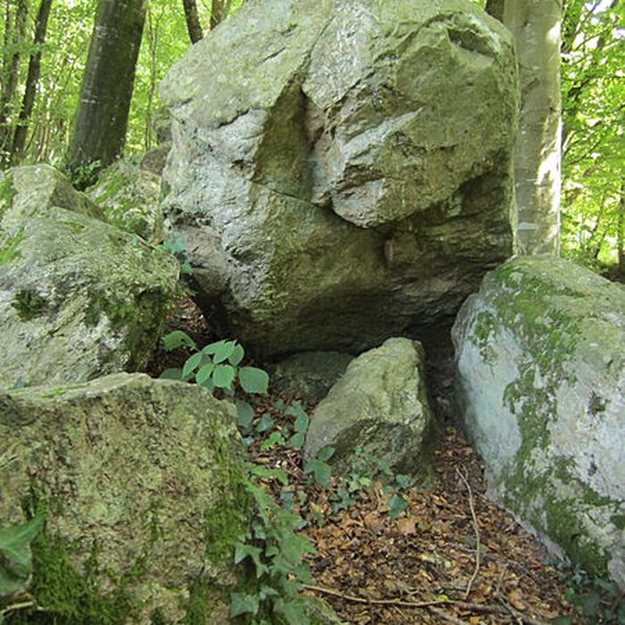 Photo de Allée couverte de la Petite Roche à Rocheville