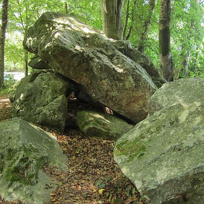 Photo de Allée couverte de la Petite Roche à Rocheville