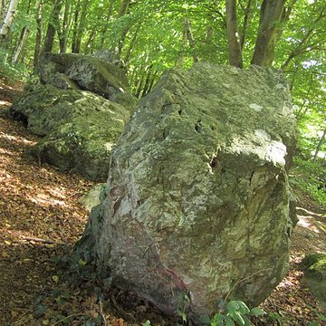 Allée couverte de la Petite Roche à Rocheville