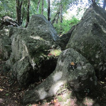 Allée couverte de la Petite Roche à Rocheville