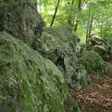 Allée couverte de la Petite Roche à Rocheville