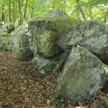 Allée couverte de la Petite Roche à Rocheville