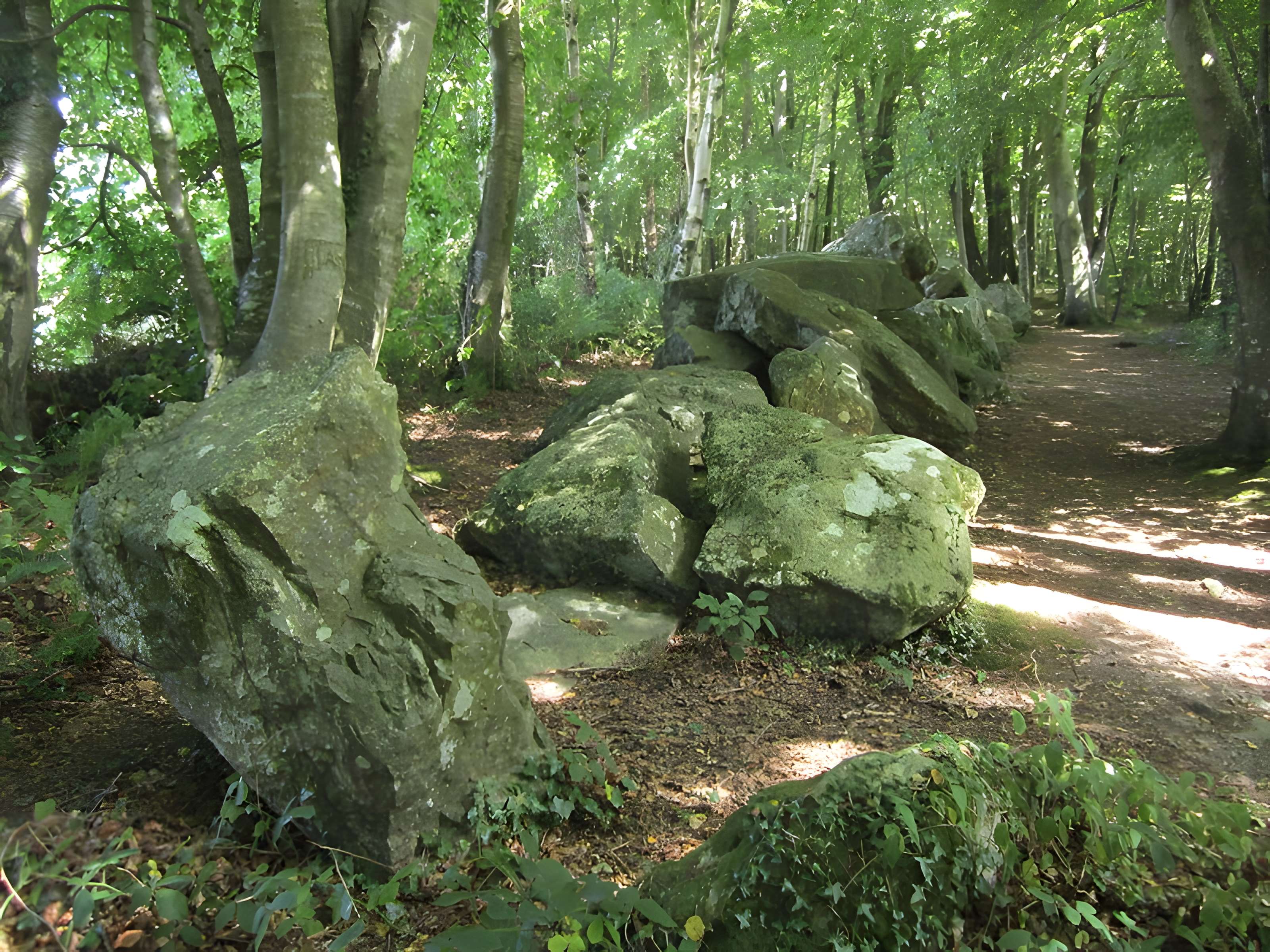 Allée couverte de la Petite Roche à Rocheville 
