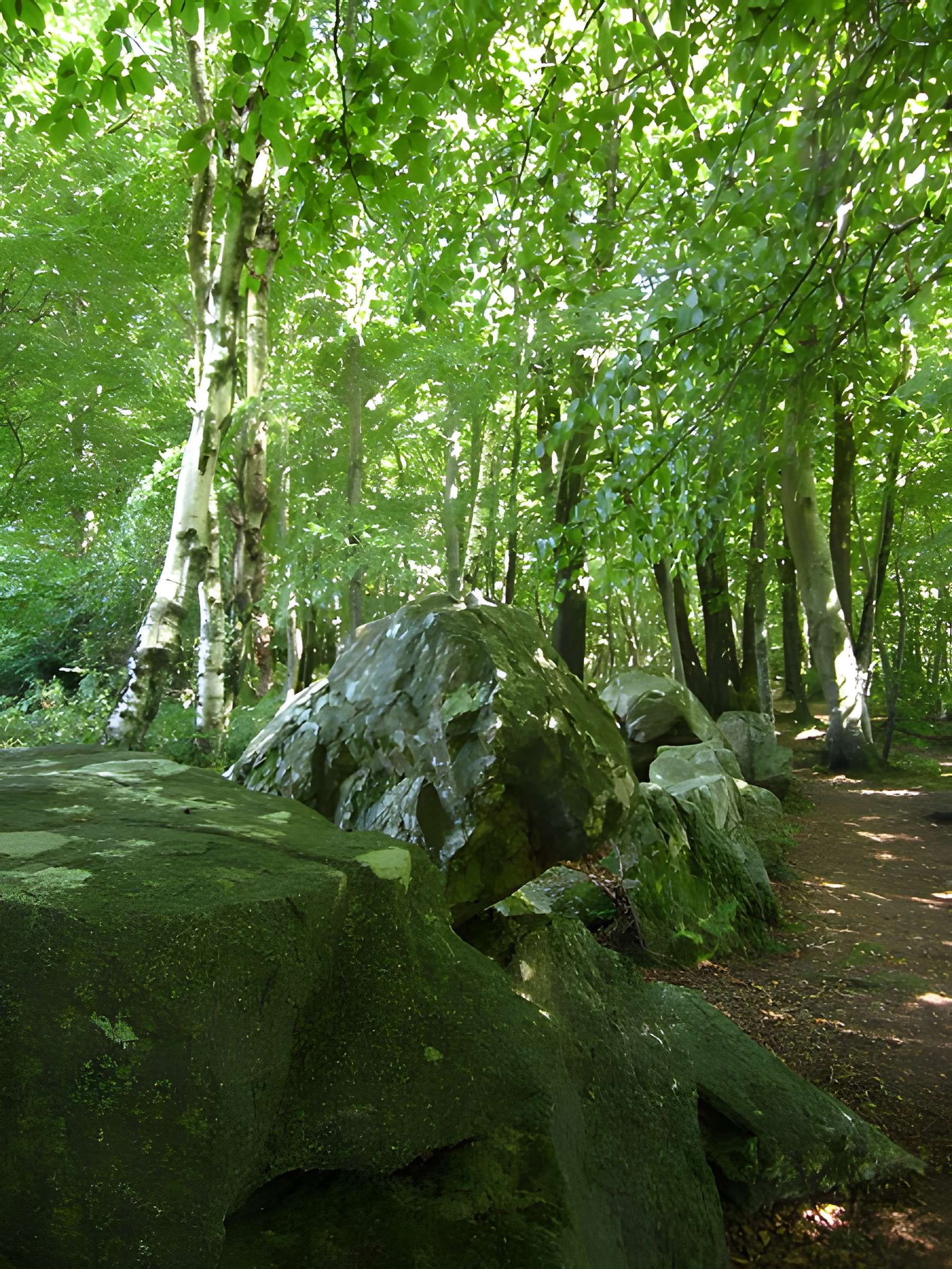 Allée couverte de la Petite Roche à Rocheville