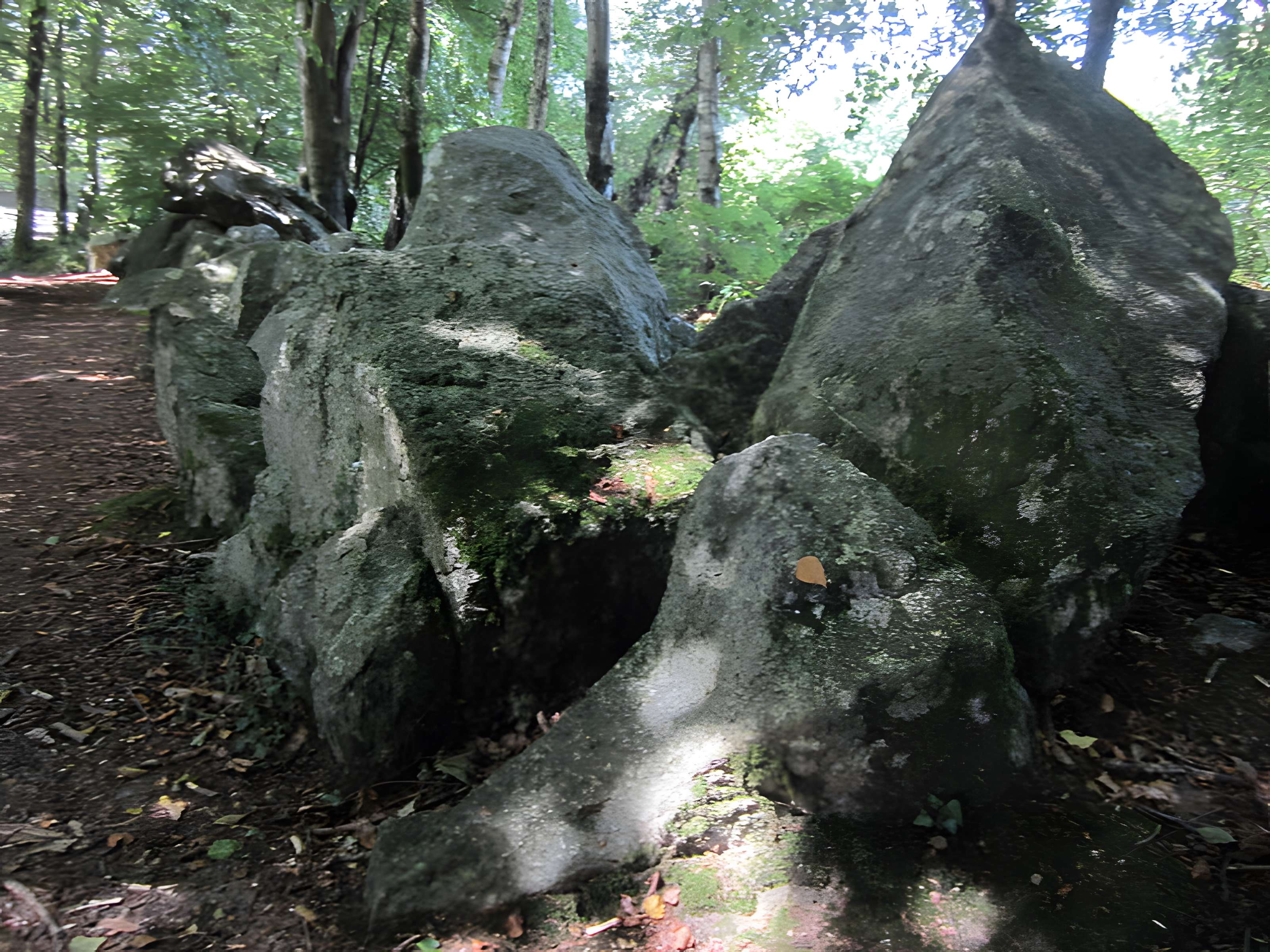 Allée couverte de la Petite Roche à Rocheville